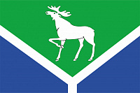 Флаг Усть-Ишимского района