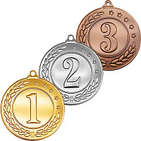 Комплект медалей Камчуга (3 медали)